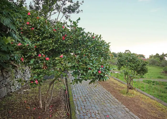 Solar Arco De Sao Jorge Apartamento *