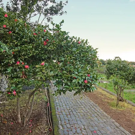 Solar Arco De Sao Jorge Lägenhet *