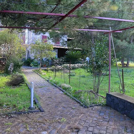 Solar Arco De Sao Jorge 公寓 桑塔纳